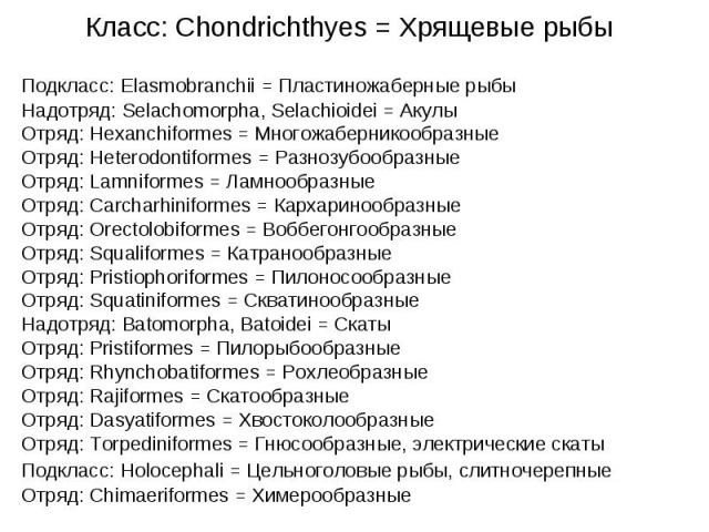 Класс: Chondrichthyes = Хрящевые рыбы Подкласс: Elasmobranchii = Пластиножаберные рыбы Надотряд: Selachomorpha, Selachioidei = Акулы Отряд: Hexanchiformes = Многожаберникообразные Отряд: Heterodontiformes = Разнозубообразные Отряд: Lamniformes = Лам…