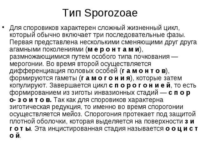 Тип Sporozoaе Для споровиков характерен сложный жизненный цикл, который обычно включает три последовательные фазы. Первая представлена несколькими сменяющими друг друга агамными поколениями (м е р о н т а м и), размножающимися путем особого типа поч…