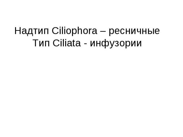 Надтип Ciliophora – ресничные Тип Ciliata - инфузории