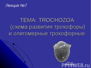 ТЕМА: TROCHOZOA (схема развития трохофоры) и олигомерные трохофорные