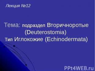 Тема: подраздел Вторичноротые (Deuterostomia) Тип Иглокожие (Echinodermata)