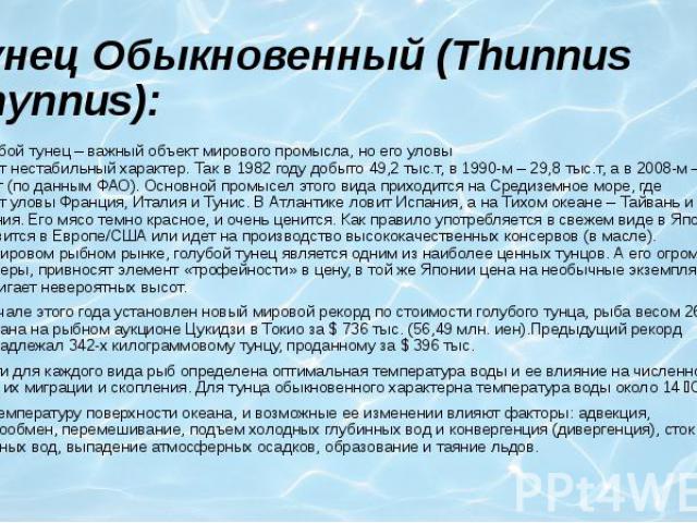Тунец Обыкновенный (Thunnus Thynnus): Голубой тунец – важный объект мирового промысла, но его уловы  носят нестабильный характер. Так в 1982 году добыто 49,2 тыс.т, в 1990-м – 29,8 тыс.т, а в 2008-м – 87 345 т (по данным ФАО). Основной промысел…