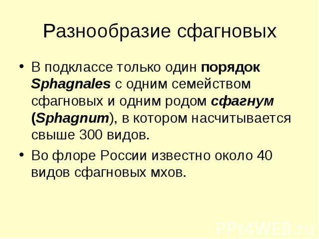 Разнообразие сфагновых В подклассе только один порядок Sphagnales с одним семейством сфагновых и одним родом сфагнум (Sphagnum), в котором насчитывается свыше 300 видов. Во флоре России известно около 40 видов сфагновых мхов.