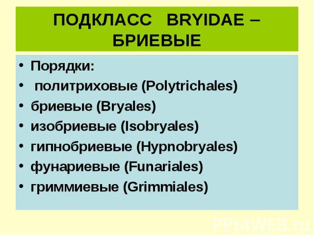 ПОДКЛАСС BRYIDAE БРИЕВЫЕ Порядки: политриховые (Polytrichales) бриевые (Bryales) изобриевые (Isobryales) гипнобриевые (Hypnobryales) фунариевые (Funariales) гриммиевые (Grimmiales)