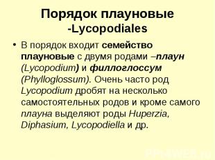 Порядок плауновые -Lycopodiales В порядок входит семейство плауновые с двумя род