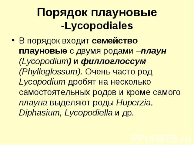 Порядок плауновые -Lycopodiales В порядок входит семейство плауновые с двумя родами плаун (Lycopodium) и филлоглоссум (Phylloglossum). Очень часто род Lycopodium дробят на несколько самостоятельных родов и кроме самого плауна выделяют роды Huperzia,…