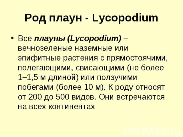 Род плаун - Lycopodium Все плауны (Lycopodium) вечнозеленые наземные или эпифитные растения с прямостоячими, полегающими, свисающими (не более 1 1,5 м длиной) или ползучими побегами (более 10 м). К роду относят от 200 до 500 видов. Они встречаются н…
