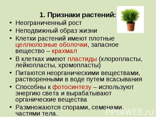 В чем особенность роста у растений