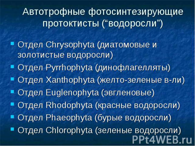 Отдел Chrysophyta (диатомовые и золотистые водоросли) Отдел Pyrrhophyta (динофлагелляты) Отдел Xanthophyta (желто-зеленые в-ли) Отдел Euglenophyta (эвгленовые) Отдел Rhodophyta (красные водоросли) Отдел Phaeophyta (бурые водоросли) Отдел Chlorophyta…
