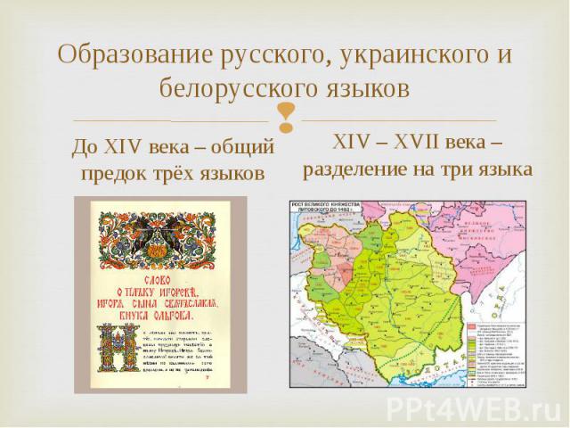 До XIV века – общий предок трёх языков До XIV века – общий предок трёх языков