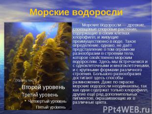 Морские водоросли Морские водоросли — древние, слоевцовые споровые растения, сод