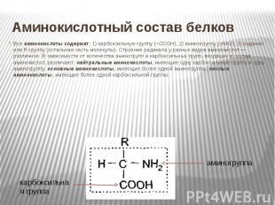 Аминокислотный состав белков Все аминокислоты содержат: 1) карбоксильную группу