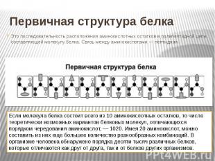 Первичная структура белка Это последовательность расположения аминокислотных ост