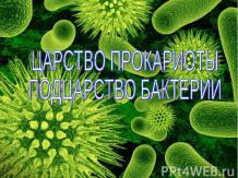Царство прокариоты, подцарство бактерии
