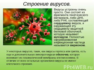 Вирусы устроены очень просто. Они состоят из фрагмента генетического материала,