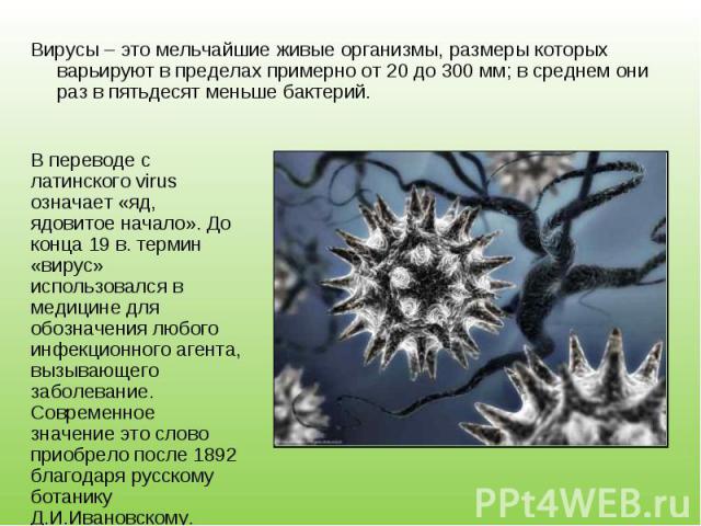Вирусы – это мельчайшие живые организмы, размеры которых варьируют в пределах примерно от 20 до 300 мм; в среднем они раз в пятьдесят меньше бактерий. Вирусы – это мельчайшие живые организмы, размеры которых варьируют в пределах примерно от 20 до 30…