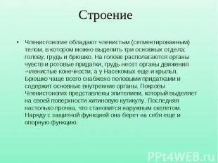 Членистоногие обладают членистым (сегментированным) телом, в котором можно выдел