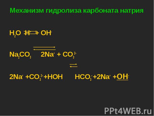 H2O H+ + OH- H2O H+ + OH- Na2CO3 2Na+ + CO32- 2Na+ +CO32- +HOH HCO3- +2Na+ +OH-