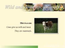 "Дикие и домашние животные" содержит картинки и описание животных на английском