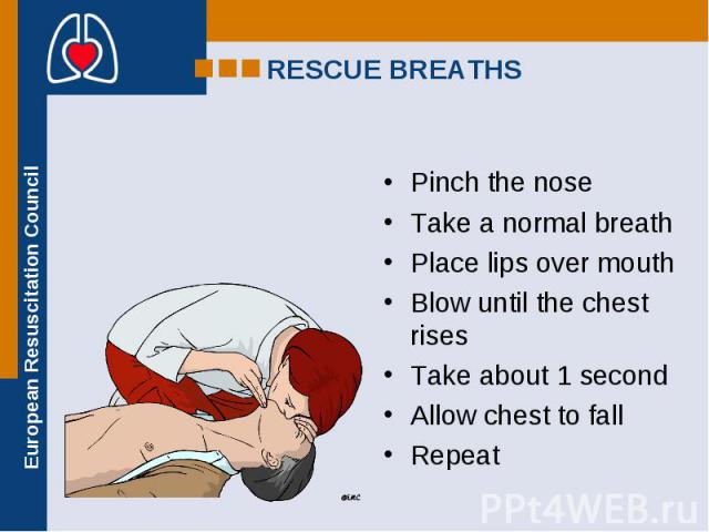 Pinch the nose Pinch the nose Take a normal breath Place lips over mouth Blow until the chest rises Take about 1 second Allow chest to fall Repeat