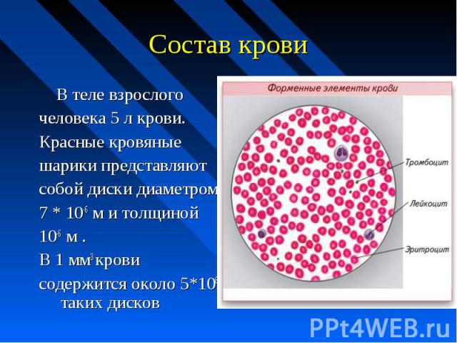 Состав крови В теле взрослого человека 5 л крови. Красные кровяные шарики представляют собой диски диаметром 7 * 10-6 м и толщиной 10-6 м . В 1 мм3 крови содержится около 5*106 таких дисков