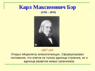 Карл Максимович Бэр 1827 год Открыл яйцеклетку млекопитающих. Сформулировал поло