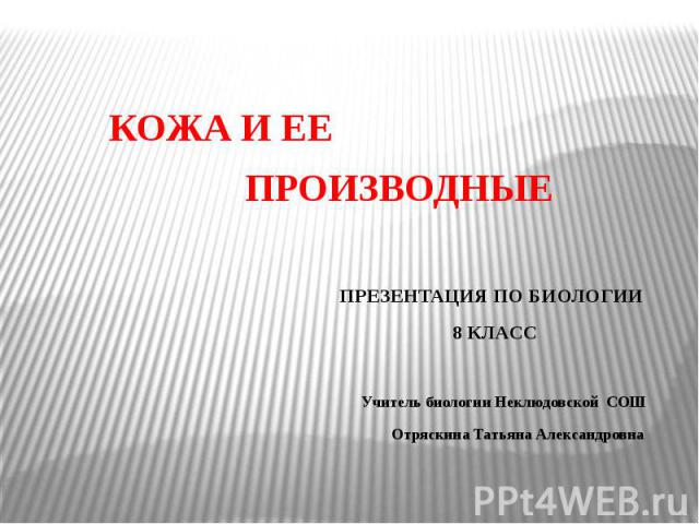 КОЖА И ЕЕ ПРОИЗВОДНЫЕ ПРЕЗЕНТАЦИЯ ПО БИОЛОГИИ 8 КЛАСС Учитель биологии Неклюдовской СОШ Отряскина Татьяна Александровна