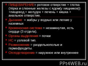 ПИЩЕВАРЕНИЕ= ротовое отверстие + глотка (тёрка и слюнные железы с ядом(у хищнико