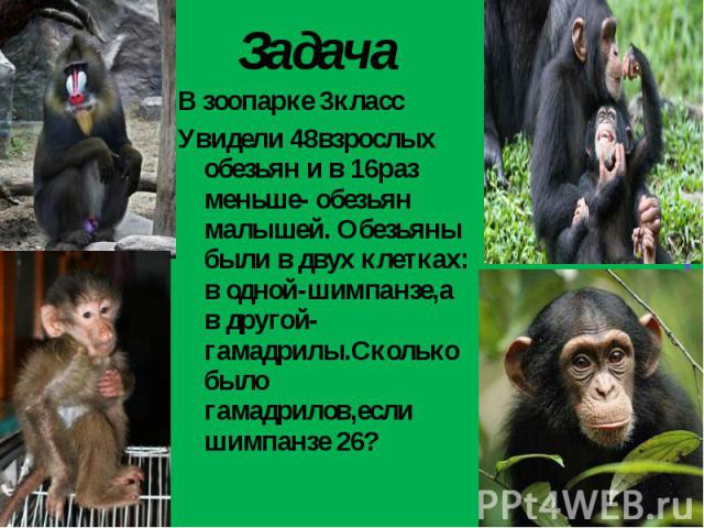 В зоопарке 3класс В зоопарке 3класс Увидели 48взрослых обезьян и в 16раз меньше- обезьян малышей. Обезьяны были в двух клетках: в одной-шимпанзе,а в другой- гамадрилы.Сколько было гамадрилов,если шимпанзе 26?
