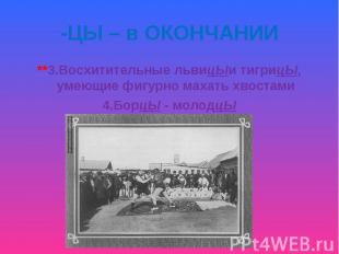 **3.Восхитительные львицЫи тигрицЫ, умеющие фигурно махать хвостами **3.Восхитит