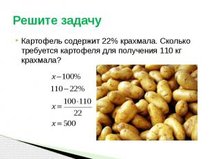 Решите задачу Картофель содержит 22% крахмала. Сколько требуется картофеля для п