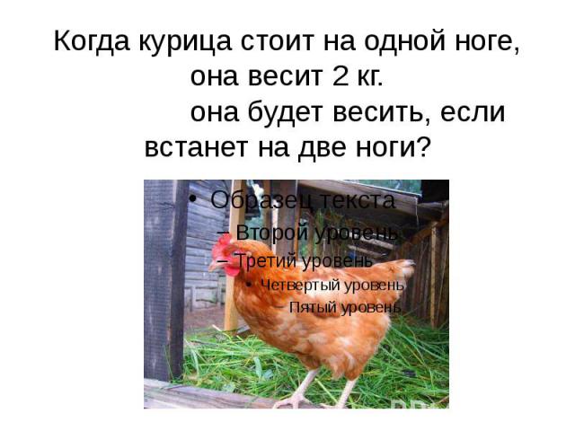 Когда курица стоит на одной ноге, она весит 2 кг. Сколько она будет весить, если встанет на две ноги?