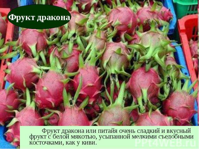 Фрукт дракона или питайя очень сладкий и вкусный фрукт с белой мякотью, усыпанной мелкими съедобными косточками, как у киви.