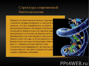 Структура современной биотехнологии Современная биотехнология включает ряд высок