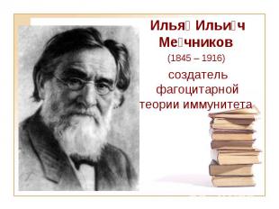 Илья Ильи ч Ме чников (1845 – 1916)&nbsp; создатель фагоцитарной теории иммуните