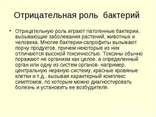 Отрицательная роль бактерий Отрицательную роль играют патогенные бактерии, вызыв