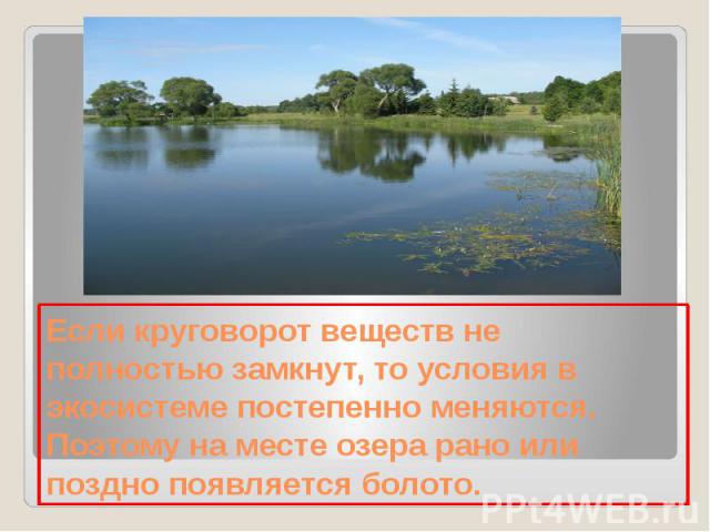 Если круговорот веществ не полностью замкнут, то условия в экосистеме постепенно меняются. Поэтому на месте озера рано или поздно появляется болото.