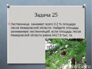 Лиственница занимает всего 0,2 % площади лесов Кемеровской области. Найдите площ