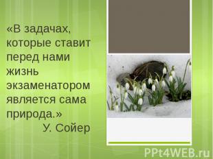 «В задачах, которые ставит перед нами жизнь экзаменатором является сама природа.