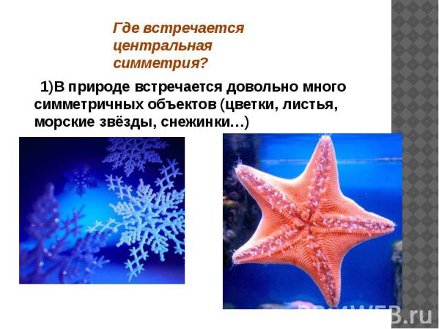 1)В природе встречается довольно много симметричных объектов (цветки, листья, морские звёзды, снежинки…) 1)В природе встречается довольно много симметричных объектов (цветки, листья, морские звёзды, снежинки…)