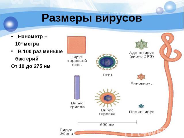 Нанометр – Нанометр – 10-9 метра В 100 раз меньше бактерий От 10 до 275 нм