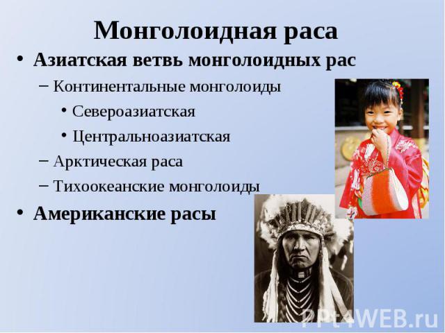 Азиатская ветвь монголоидных рас Азиатская ветвь монголоидных рас Континентальные монголоиды Североазиатская Центральноазиатская Арктическая раса Тихоокеанские монголоиды Американские расы