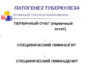 ПАТОГЕНЕЗ ТУБЕРКУЛЕЗА ПЕРВИЧНЫЙ ТУБЕРКУЛЕЗНЫЙ КОМПЛЕКС ПЕРВИЧНЫЙ ОЧАГ (первичный