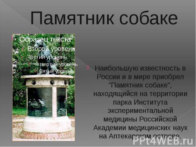 Памятник собаке Наибольшую известность в России и в мире приобрел "Памятник собаке", находящийся на территории парка Института экспериментальной медицины Российской Академии медицинских наук на Аптекарском острове.