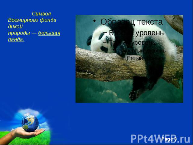 Символ Всемирного фонда дикой природы — большая панда. Символ Всемирного фонда дикой природы — большая панда.