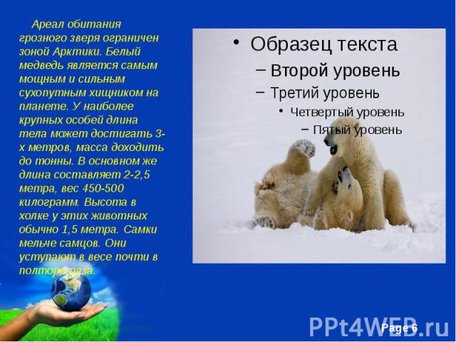 Ареал обитания грозного зверя ограничен зоной Арктики. Белый медведь является самым мощным и сильным сухопутным хищником на планете. У наиболее крупных особей длина тела может достигать 3-х метров, масса доходить до тонны. В основном же длина состав…