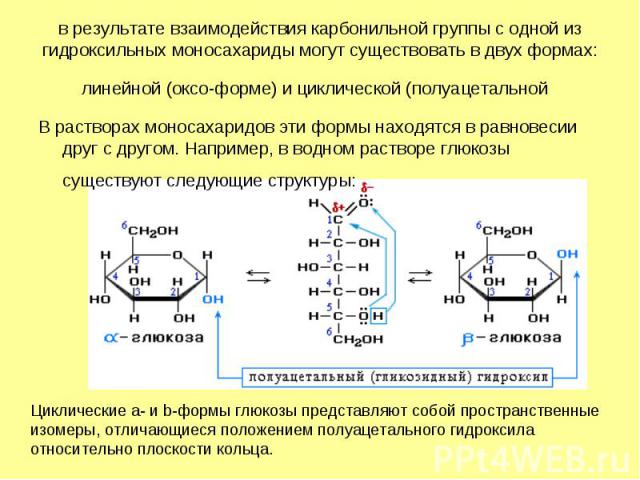 В растворах моносахаридов эти формы находятся в равновесии друг с другом. Например, в водном растворе глюкозы существуют следующие структуры: В растворах моносахаридов эти формы находятся в равновесии друг с другом. Например, в водном растворе глюко…