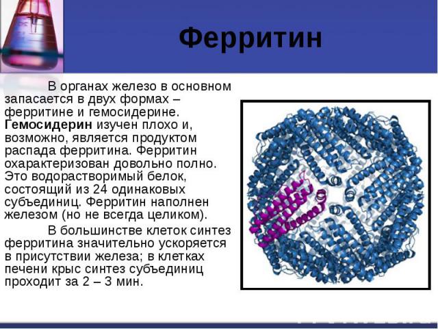 Ферритин В органах железо в основном запасается в двух формах – ферритине и гемосидерине. Гемосидерин изучен плохо и, возможно, является продуктом распада ферритина. Ферритин охарактеризован довольно полно. Это водорастворимый белок, состоящий из 24…