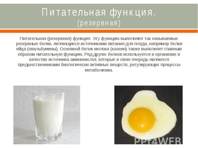 Питательная функция. (резервная) Питательная (резервная) функция. Эту функцию выполняют так называемые резервные белки, являющиеся источниками питания для плода, например белки яйца (овальбумины). Основной белок молока (казеин) также выполняет главн…