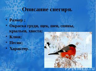 Описание снегиря. Размер ; Окраска груди, щек, шеи, спины, крыльев, хвоста; Клюв